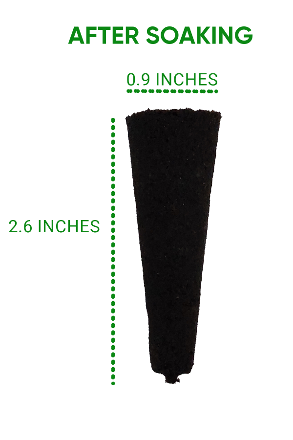 bgm grow sponge's metrics
